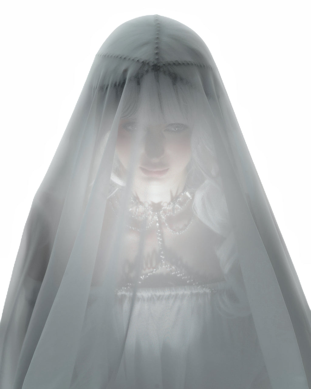 † THE MOON †